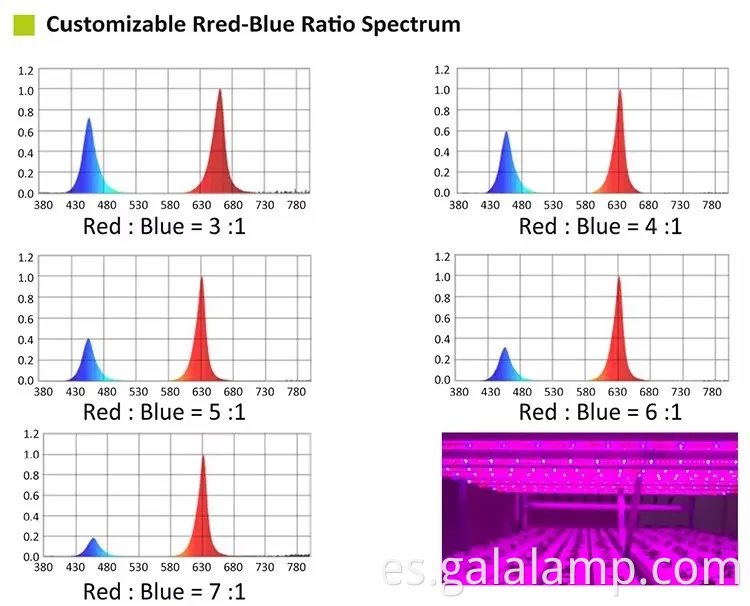 Cultivar plántulas, luz de suplemento para el crecimiento, luz de planta del espectro completo T5